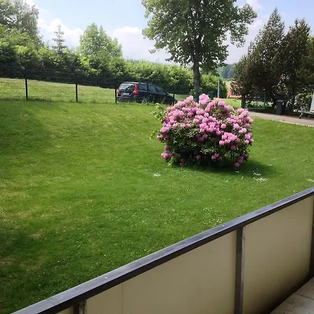 Apartment Harzidyll Living Apartements Braunlage
