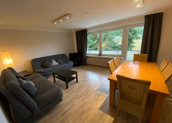 Harzidyll Living Apartements Braunlage